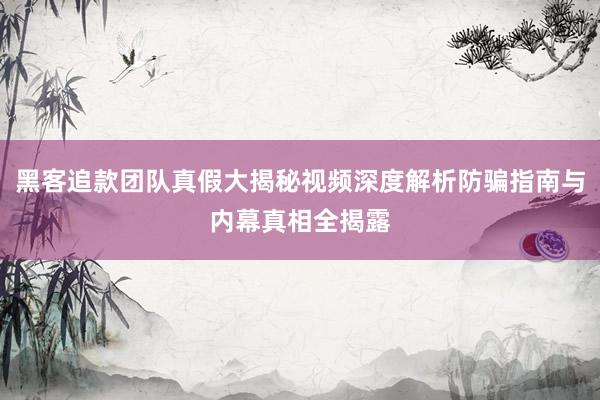 黑客追款团队真假大揭秘视频深度解析防骗指南与内幕真相全揭露