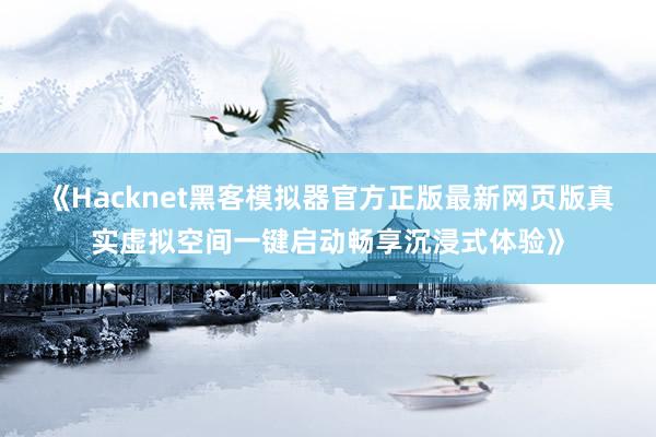 《Hacknet黑客模拟器官方正版最新网页版真实虚拟空间一键启动畅享沉浸式体验》