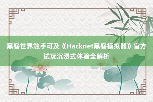 黑客世界触手可及《Hacknet黑客模拟器》官方试玩沉浸式体验全解析